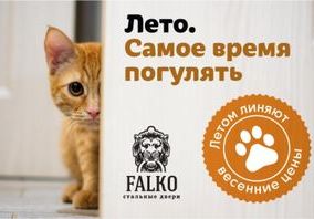 Лето. Самое время погулять!