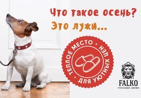 Акция «Размеры разные. Цена одна» от FalKo