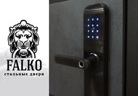 Биометрический замок для входных дверей FalKo